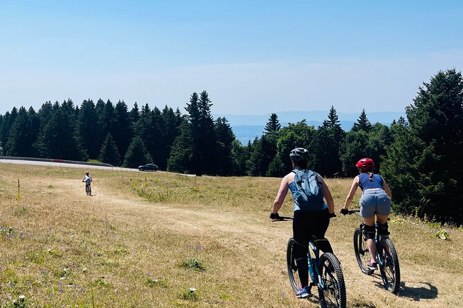 Descent of the Semnoz by Enduro Mountain Bike - Transportation and Meeting Point