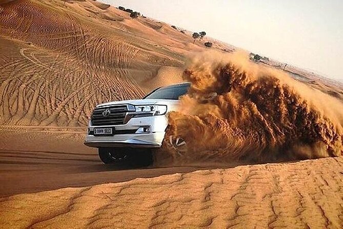 Desert Safari Camel Ride With BBQ Dinner in Dubai