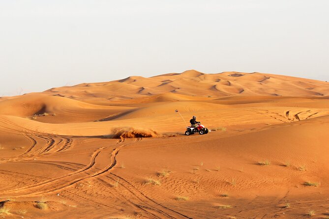 Desert Safari With BBQ Dinner Camel Ride and Live Show - Inclusions
