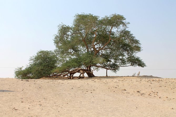 Desert Secrets - Local Culture