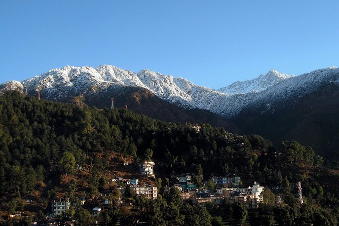 Dharamshala & Palampur Tea Gardens From Chandigarh