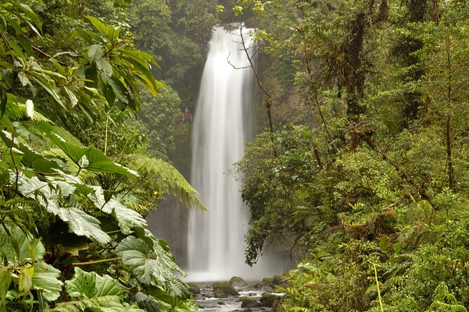 Direct Transfer From Cahuita to San Jose, English Speaking Driver - Pickup and Drop-off Details