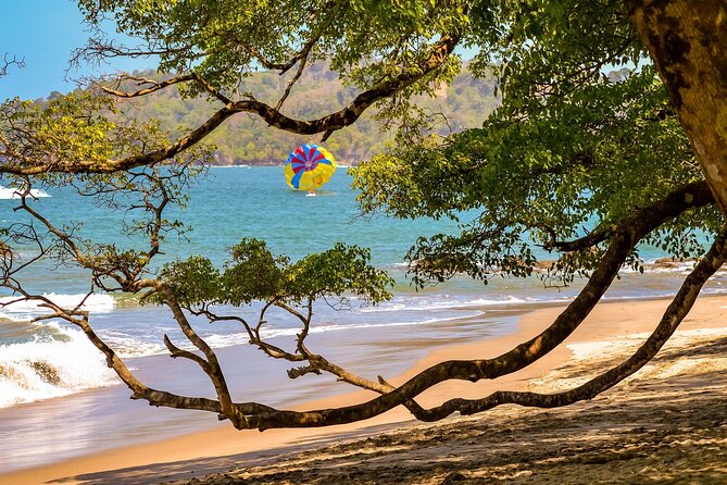 Direct Transfer From San Jose to La Fortuna, English Speaking Driver - Pickup and Drop-off Details
