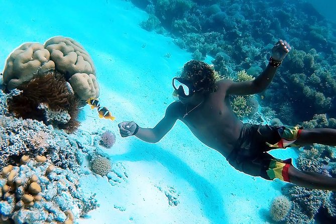 Discover Hamata & Qulaan Islands Snorkeling Sea Trip With Lunch – Marsa Alam