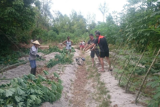 Discover Lotus Farm: an Unexplored Gem of Agricultural & Culinary - Booking Details and Reservations
