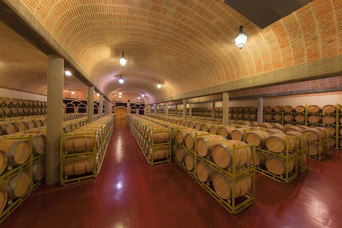 Discover Origin of Red Wine in Ribera Del Duero- Wine Tasting - Vineyard and Winery Visit Highlights