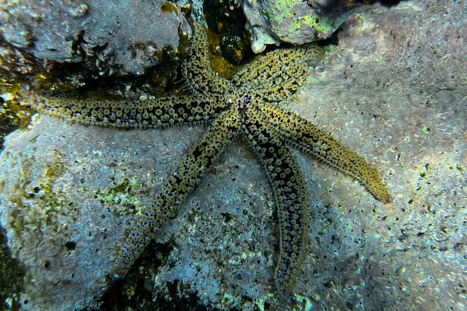 Discover Scuba Diving - Location Details