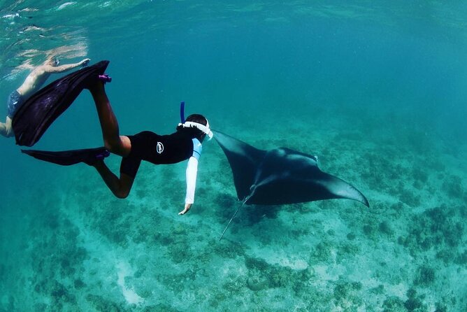 Discover South Ari Atoll – Full Day Tour From Male City