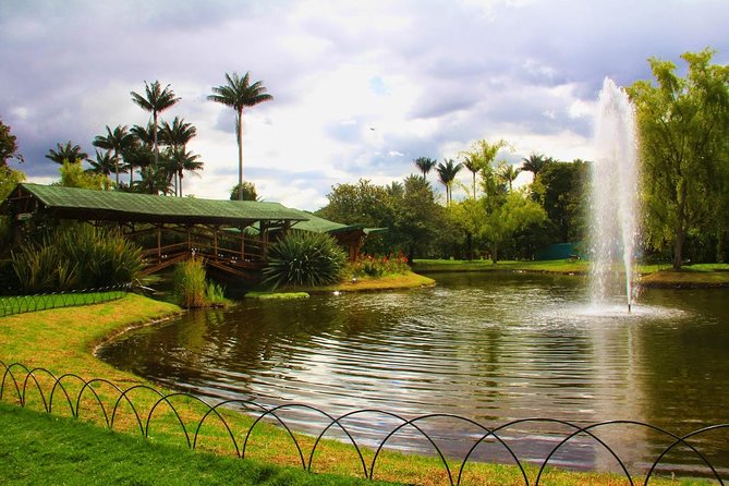 Discover the Largest Urban Park in the World - Tour Highlights