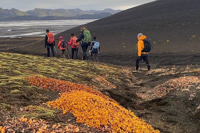 Discover the Majestic Trails of Reykjaviks Mountains - Guided Tour of Important Sights