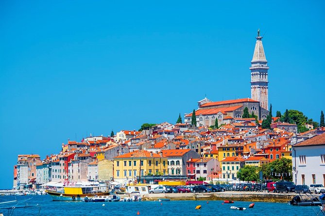 Divine Wine & Olive Oil Tasting in Istria Full-day Tour - Transportation Details