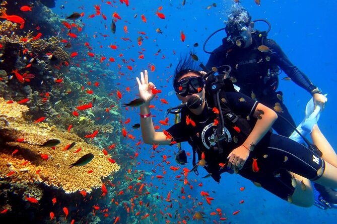 Diving Day in White Island and Ras Mohamed - Pickup Information