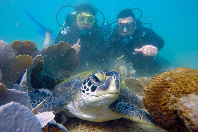 Diving Experience In Buzios - Daily Schedule and Availability