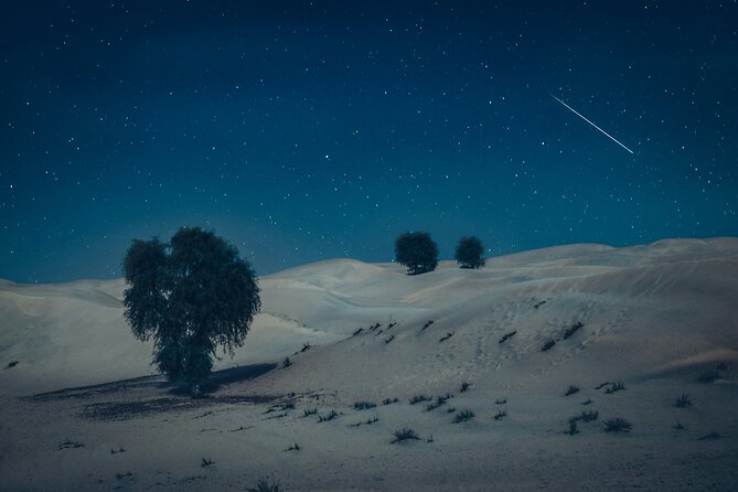 Doha Night Desert Safari Adventure - Inclusions of the Safari