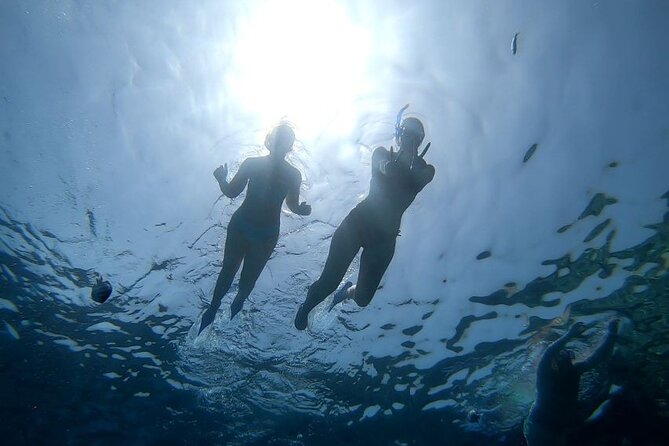 Dolphin House: Snorkel Adventure Tour From Hurghada