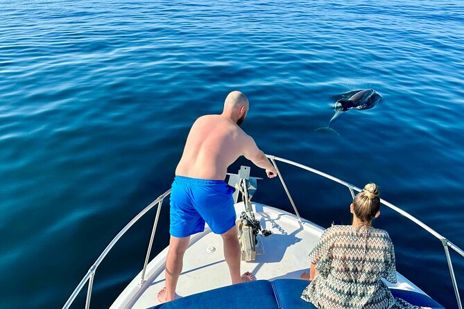 Dolphin Watching in Benalmadena - Meeting Point