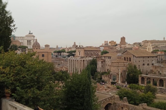Domus Tiberiana and Ancient Rome Exclusive Guided Tour - Ticket Confirmation Information