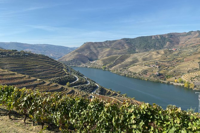 Douro Valley and Porto From Lisbon - Wine and Cheese Tasting - Included Amenities