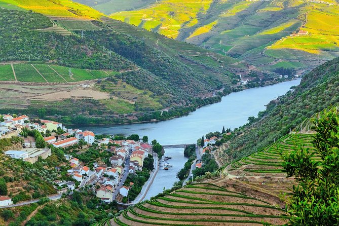 Douro Valley Wine Private Tour With Wine Tasting From Porto - Additional Information
