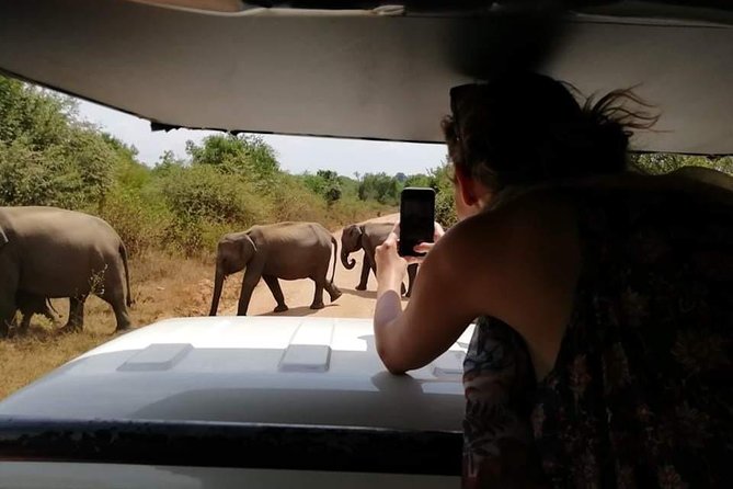 Down South Galle Tour - Tour Name and Location