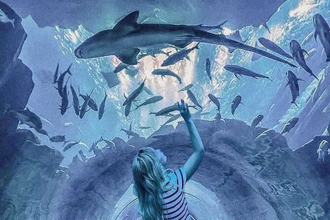 Dubai Aquarium and Underwater Zoo Tickets - Inclusions