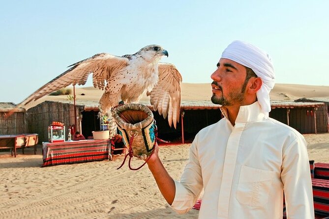 Dubai Desert Adventure Camel Ride, Shows and BBQ Dinner - Experience Details