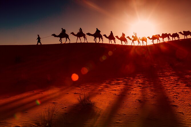 Dubai Evening Desert Safari Tour With Hotel Transfer & Live BBQ - Transportation Details