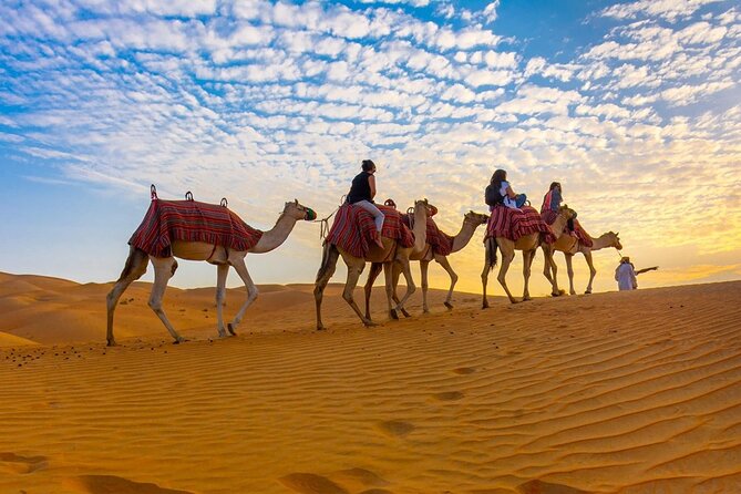 Dubai Half Day City Tour With Desert Safari, BBQ Dinner & More