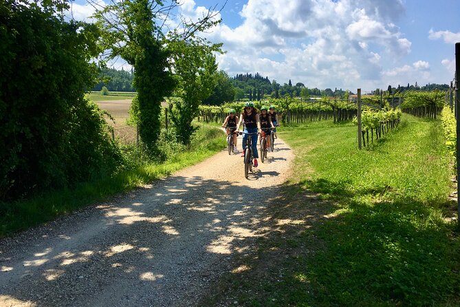 E-Bike Tour With Wine Tasting From Polpenazze on Lake Garda - Tour Inclusions and Highlights