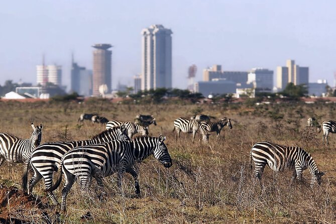Early Morning Half Day Group Tour to Nairobi National Park - Inclusions and Exclusions