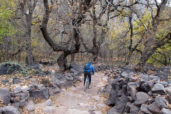 Easy Cycling Trip in Marrakech Atlas Mountains - Meeting and Pickup Details