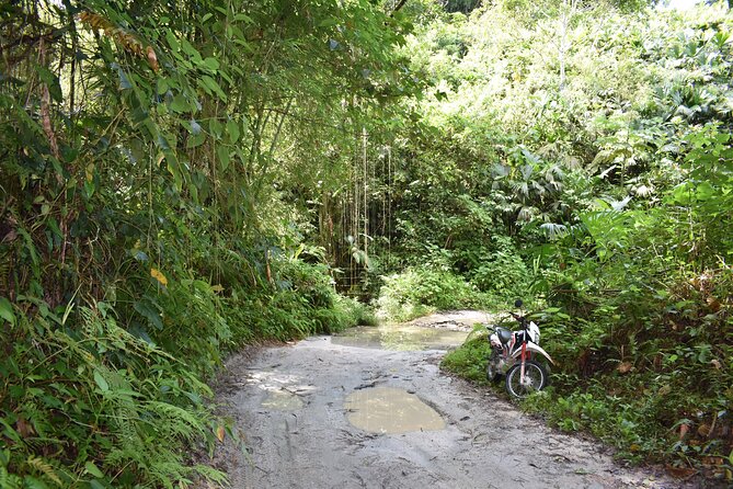 Easy Half-Day Hike to Gorgeous Waterfalls in Minca - Requirements for the Hike