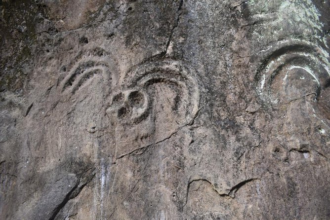 Ecological Path in the Footsteps of the Jaguar in the Montes De María - Meeting and Departure Details