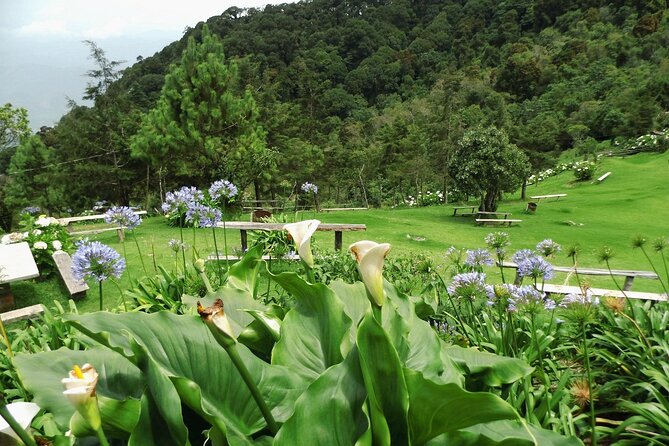 Ecotourism El Pital the Highest Point in the Country Private Tour - Inclusions and Amenities
