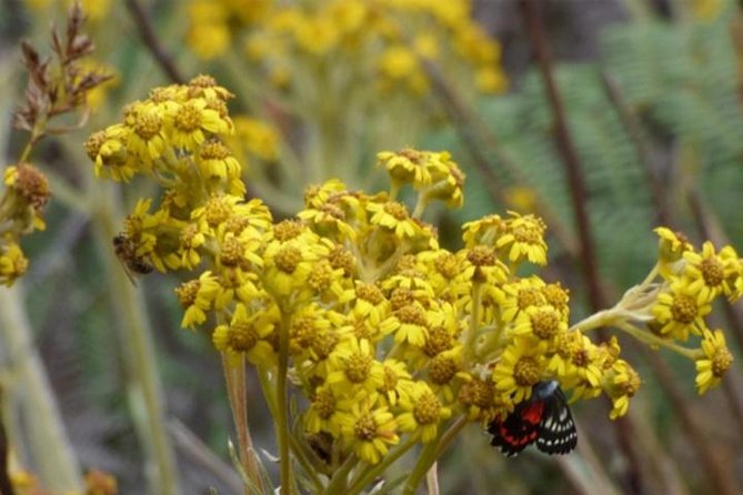 Ecowalk Experience Near Bogota