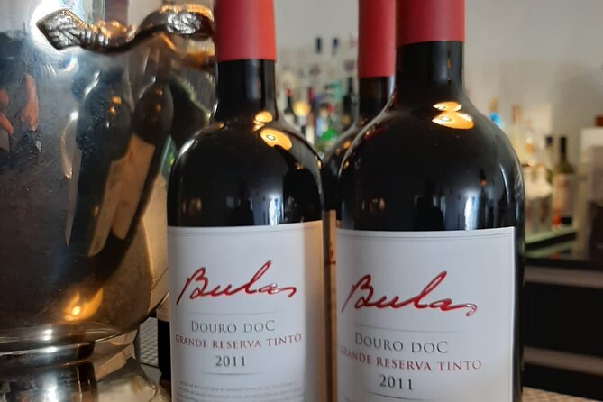 Educational Douro Valley Wines Tasting in Porto