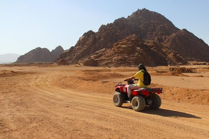 El Quseir Small-Group Morning or Afternoon Quad With Camel Tour