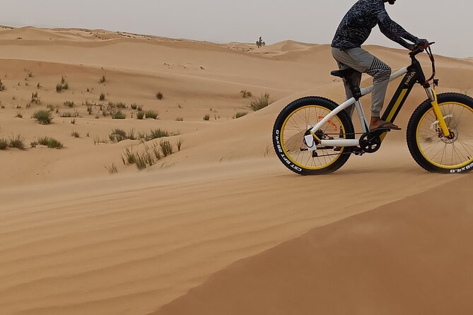 Electric Fat Bike Desert Experience in Dubai - What To Expect