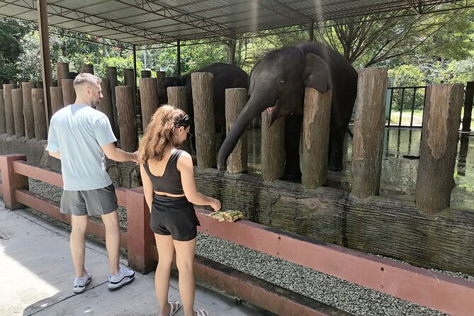 Elephant Santuary & Batu Cave & DeerLand & Silverleaf Monkey and Fireflies Tour - Tour Location and Inclusions