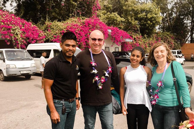 Ella City to Tangalle City Private Transfer - Pricing and Booking Information
