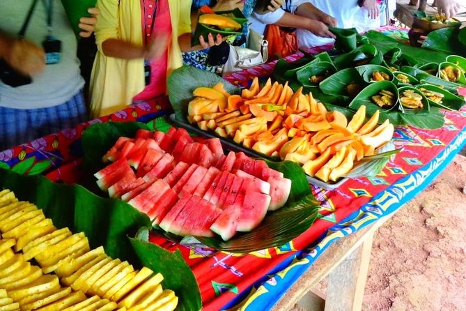 Embera Community - VIP Private Day Tour - Inclusions and Amenities