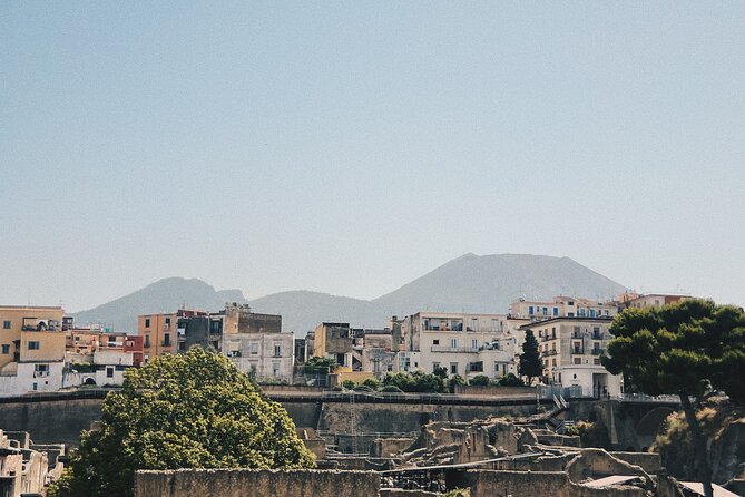 (Ercolano) Herculaneum , Half Day Private Tour - Itinerary Details
