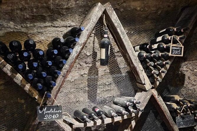 Etruscan Winery, Lunch & Wine Tasting in Chianti - Culinary Delights