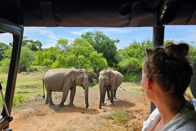 Evening Private Safari at Udawalawe National Park by Jeep - Safari Overview