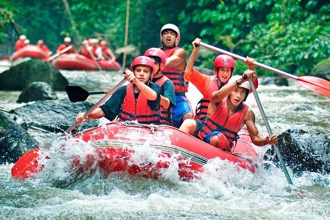 Exciting White Water Rafting and Swing at Tegallalang Rice Terrace Package - What To Expect