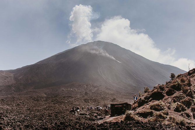 Exclusive Active Pacaya Volcano Trek From Puerto Quetzal - Meeting and Pickup Details
