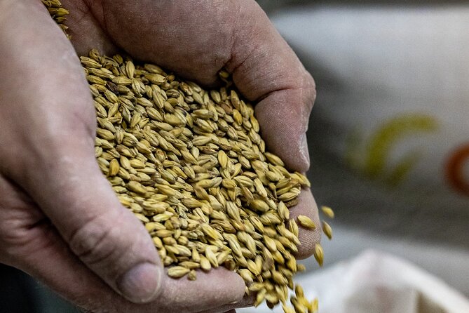 Exclusive Brewery Tour and Tasting at Kildare Brewing Co, Sallins - Whats Included