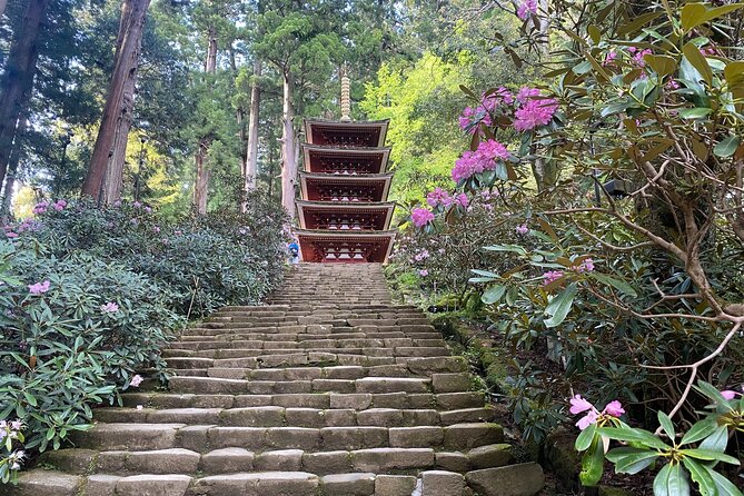 Exclusive Luxury Day Tours Serene Nara - Inclusions and Exclusions