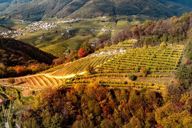 Exclusive Tour in the Riva Di Santo Stefano