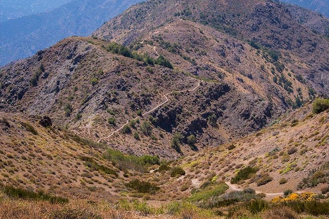 Experience Wildlife Encounter in Provincia Mountain of Chile. - Pickup and Transportation Details